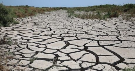 В низменных районах Азербайджана летом наблюдается дефицит водных ресурсов