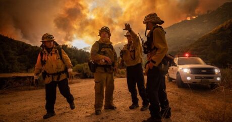 В Калифорнии пылает крупный природный пожар — ФОТО