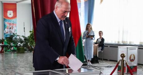 Германия заявила, что выборы в Беларуси не были демократичными