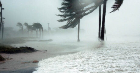 Ураган «Лаура» обрушился на побережье штата Луизиана в США