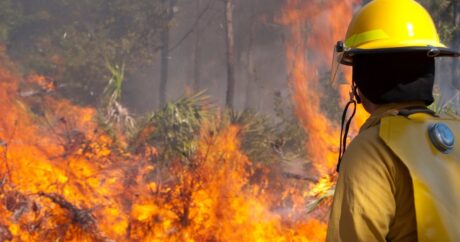 Из-за лесных пожаров в Калифорнии погибли 5 человек