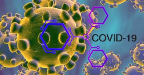 Ученые узнали о мощной иммунной реакции при коронавирусе