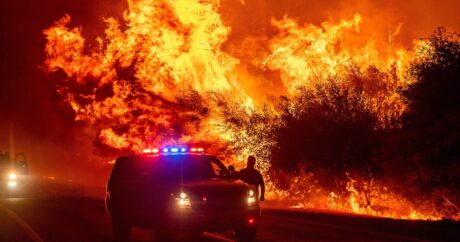 Жертвами лесных пожаров на западе США стали 28 человек