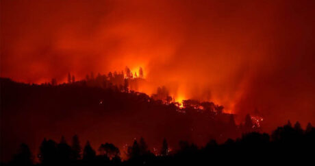 В Калифорнии 14 человек пострадали при тушении природного пожара