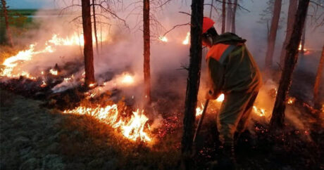 В крупном природном пожаре в Калифорнии в среду погибли три человека