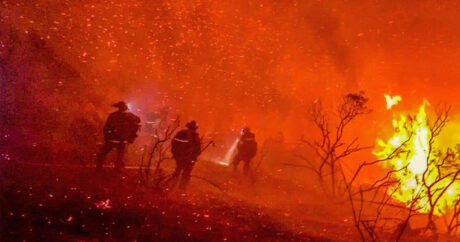 СМИ: в США при лесных пожарах погибли больше 20 человек