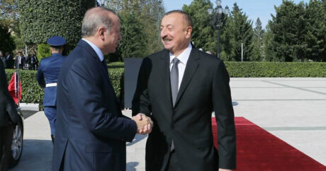 Эрдоган: Турецко-азербайджанские отношения прекрасно развиваются