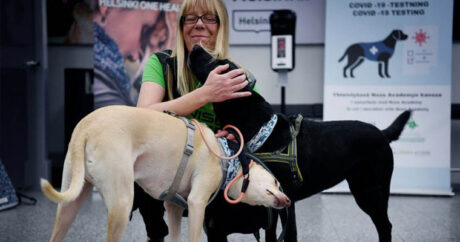 В аэропорту Хельсинки собаки проверяют пассажиров на COVID-19