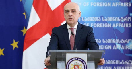 Глава МИД Грузии о провокации Армении