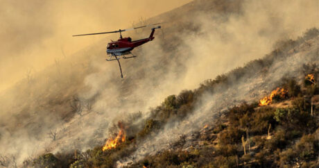 В Калифорнии пожар охватил более 2,1 тысячи га леса