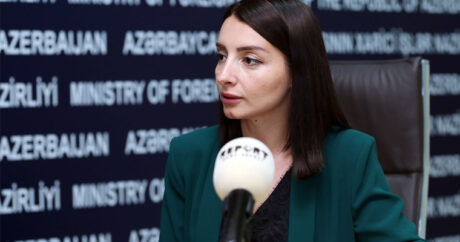 МИД: К проживающим в Карабахе армянам такое же отношение, как и ко всем гражданам Азербайджана