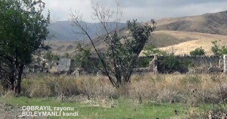 Минобороны распространило видеозапись освобожденного от оккупации села