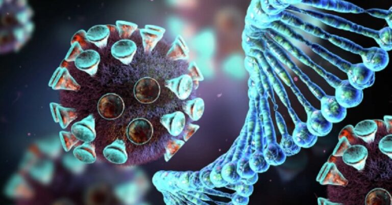Ученые обнаружили «память» организма на коронавирусы