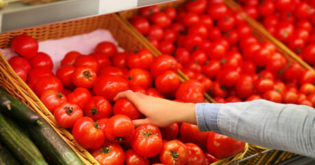 Возобновлен экспорт помидоров из Азербайджана в Казахстан