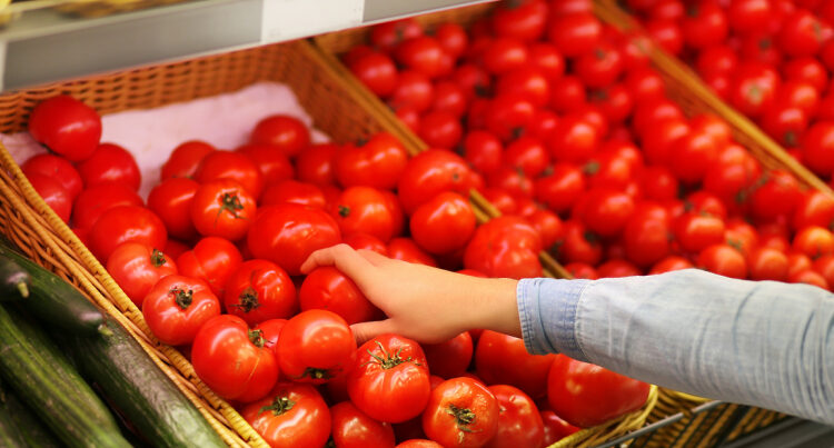 Возобновлен экспорт помидоров из Азербайджана в Казахстан