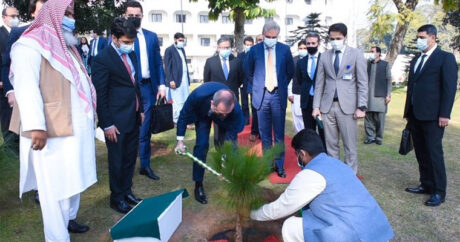 Джейхун Байрамов посадил дерево во дворе МИД Пакистана