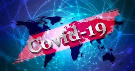 Эксперты намерены проработать все гипотезы происхождения коронавируса