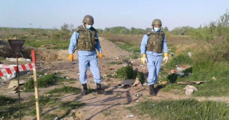 В Губадлы обезврежено 120 противопехотных мин