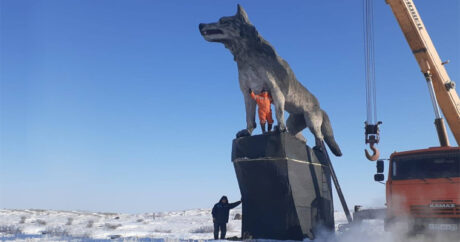 Серый волк в Казахстане: кого пугает такая комбинация пальцев? — Фото