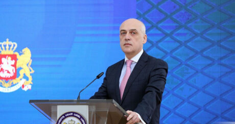 Обнародована программа визита главы МИД Грузии в Азербайджан