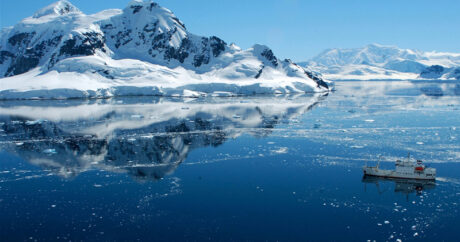 Во льдах Антарктиды нашли неизвестных животных
