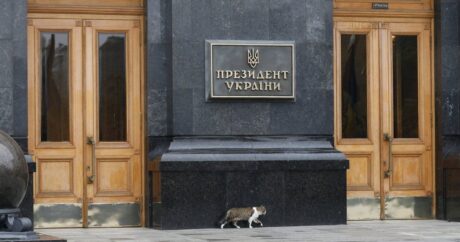 Президентский институт в Украине ликвидируется?