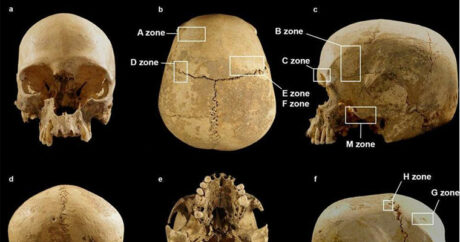 Ученые разгадали тайну черепа из пещеры в Италии