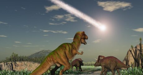 Пыль от астероида подтвердила одну из гипотез вымирания динозавров