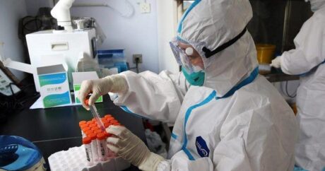 В Грузии за сутки 14 человек скончались от коронавируса