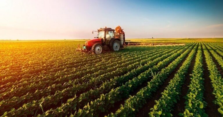 В Азербайджане в этом году будет готов статистический портал по аграрной сфере