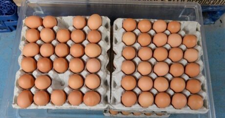 Что будет, если есть яйца на завтрак каждый день?