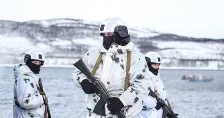 ВМС США провели в 2020 году 20 учений и операций в Арктике