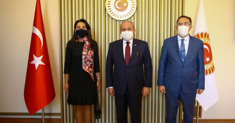 Омбудсмен Азербайджана встретилась с председателем парламента Турции