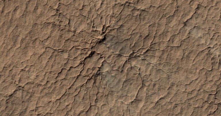 Раскрыта тайна странных узоров на поверхности Марса