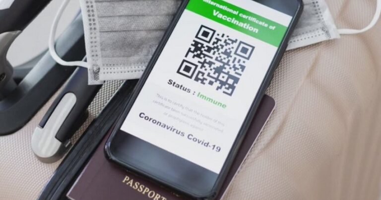 В электронную систему выдачи паспортов COVID-19 за день поступило 700 тыс. запросов