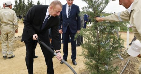 Президент Ильхам Алиев посадил дерево в Агдамском городском лесопарке