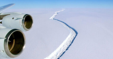 Один из крупнейших ледников Антарктиды находится на грани обрушения
