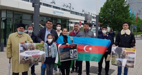 Проживающие в Германии азербайджанцы проводят акцию перед офисом ООН