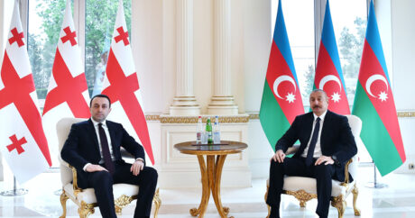 Президент провел переговоры с Гарибашвили — ФОТО