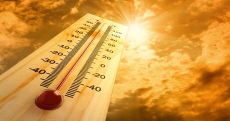 В Азербайджане температура воздуха прогреется до 42 градусовжара