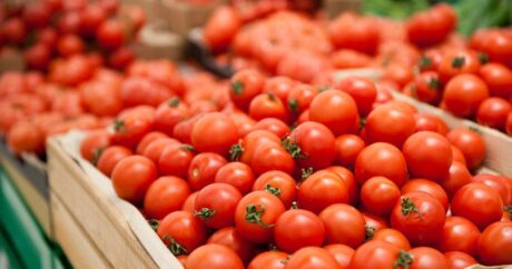 Еще 30 предприятий Азербайджана будут экспортировать томаты в Россию