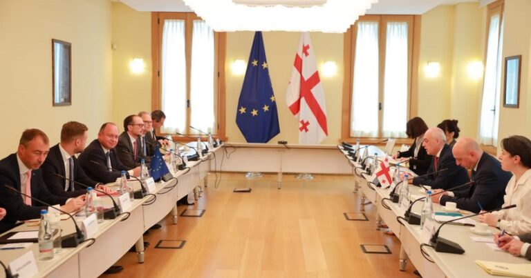 Министры иностранных дел трех стран ЕС встретились с главой МИД Грузии