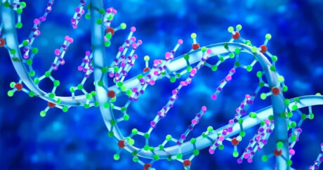 Ученые открыли новый механизм восстановления поврежденной ДНК