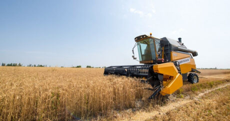 В Азербайджане начался сбор урожая зерновых