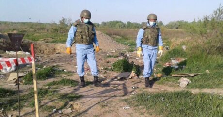 ANAMA: На освобожденных землях обнаружены еще 148 мин