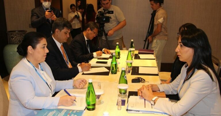 Состоялась встреча между омбудсменами Азербайджана и Узбекистана
