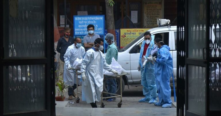 В Индии число заразившихся COVID-19 приблизилось к 29 млн человек