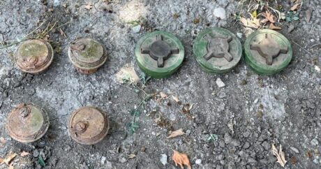 В Зангилане обнаружены неразорвавшиеся мины