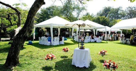 МВД: Свадебную церемонию можно проводить на открытом воздухе и в палатке