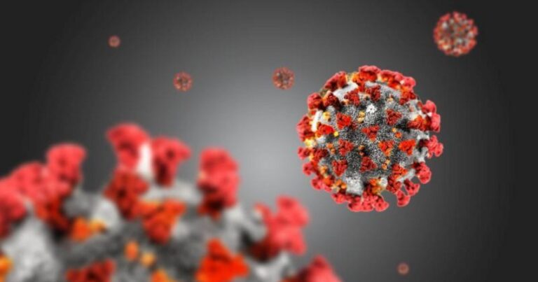 Обнаружена новая мутация коронавируса